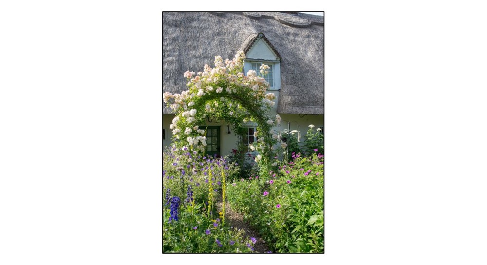 Open Garden at Clover Cottage - Rose Arch