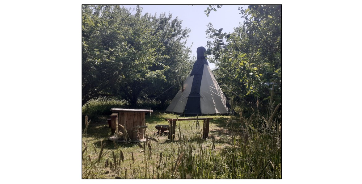 Fen End Farm  - TIPI