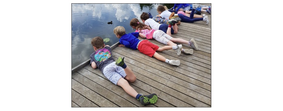 Holiday Bushcraft at Wandlebury Country Park  - 24 to 28 August