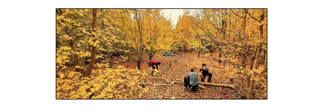 Volunteer Work Party at Wandlebury Country Park