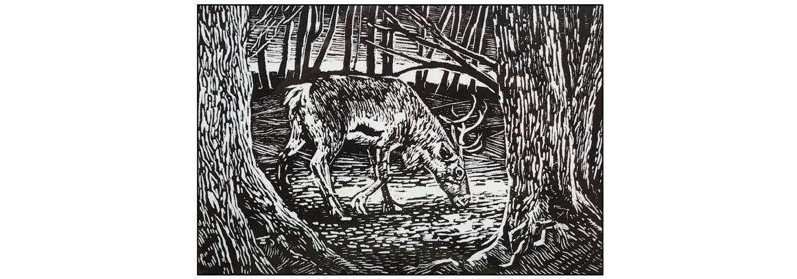 Exhibition - Artists in the Natural World - reindeer