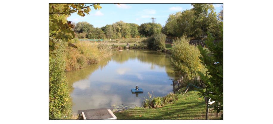 Waterbeach Angling Club - Atkins Lake