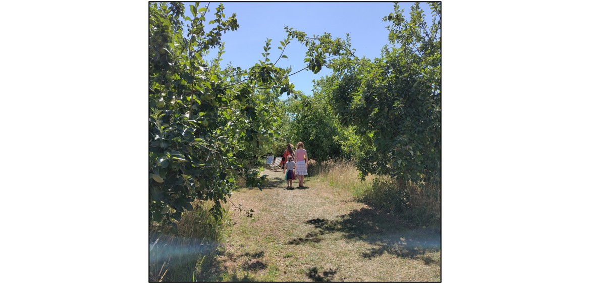 Fen End Farm  - walking through the trees