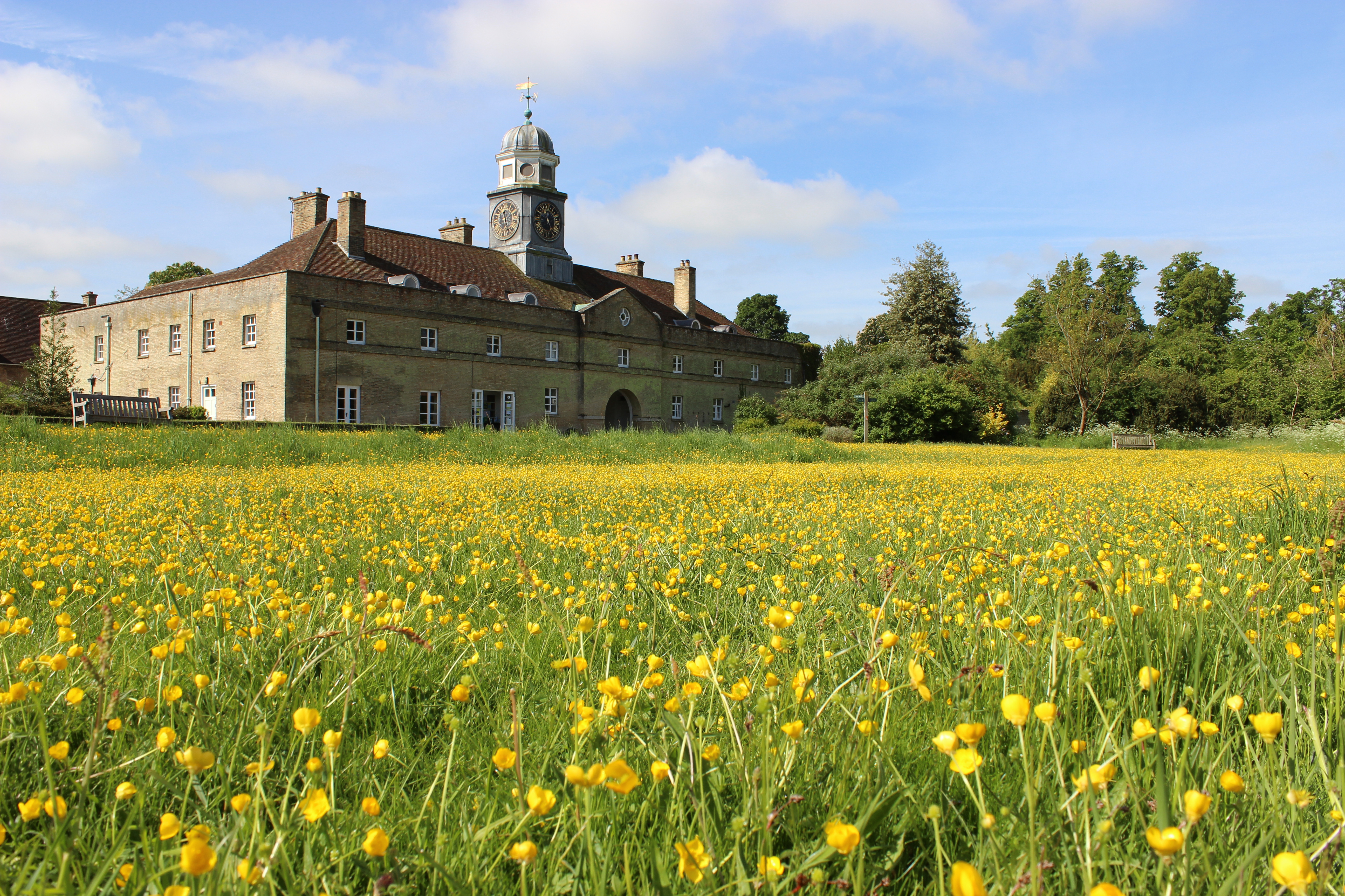 Walk with a Warden - Wandlebury View