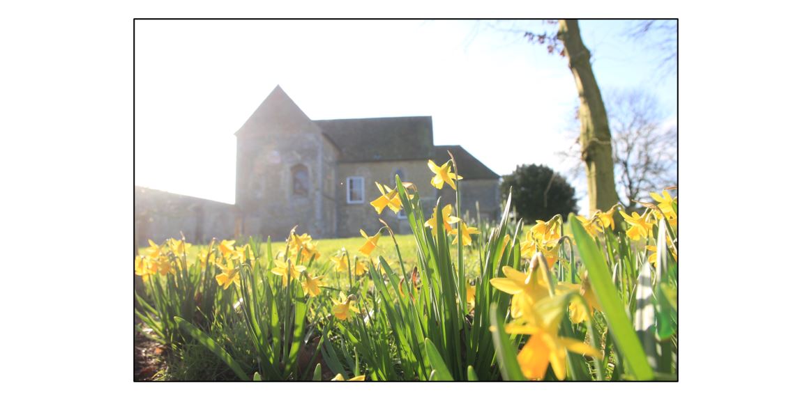 Easter Monday Family Fun Day - Abbey & Daffodils