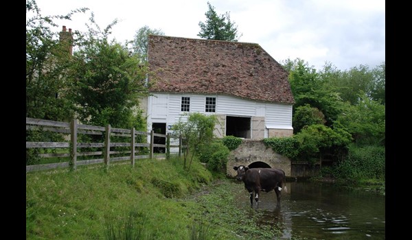 Hinxton Watermill July Open Day