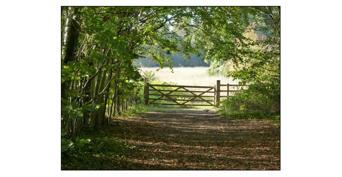 Iron Age & Archaeology Walk