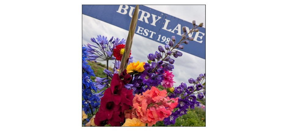 Cut Your Own Flower Fields