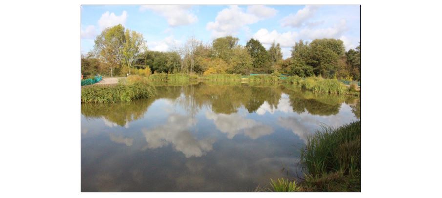 Waterbeach Angling Club - Magpie Lake