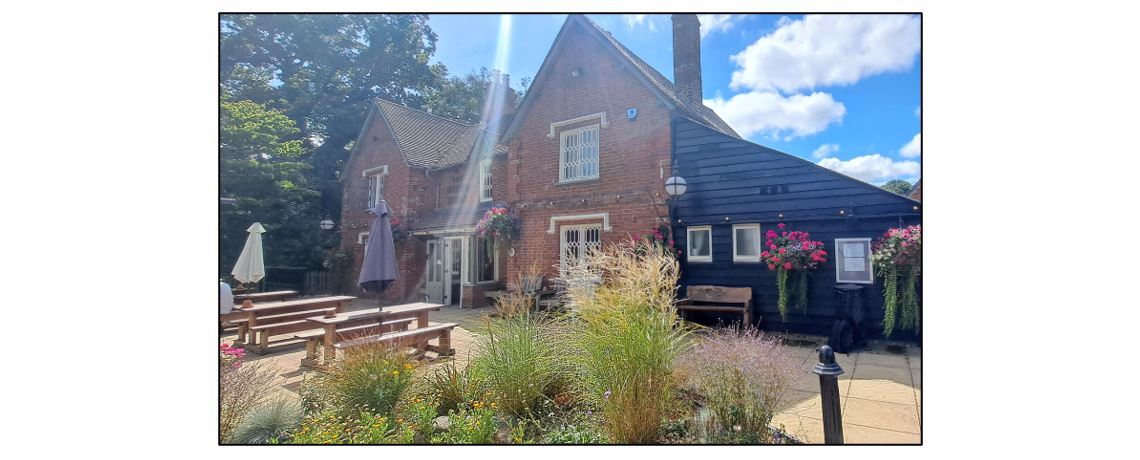 The White Swan