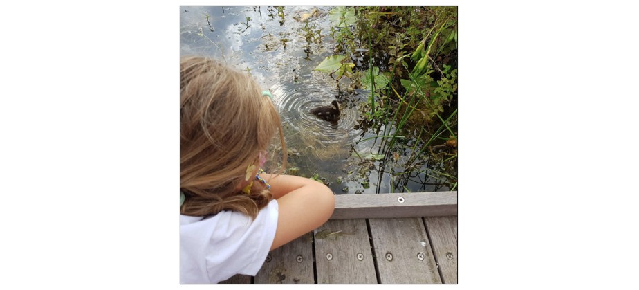 Holiday Bushcraft at Wandlebury Country Park