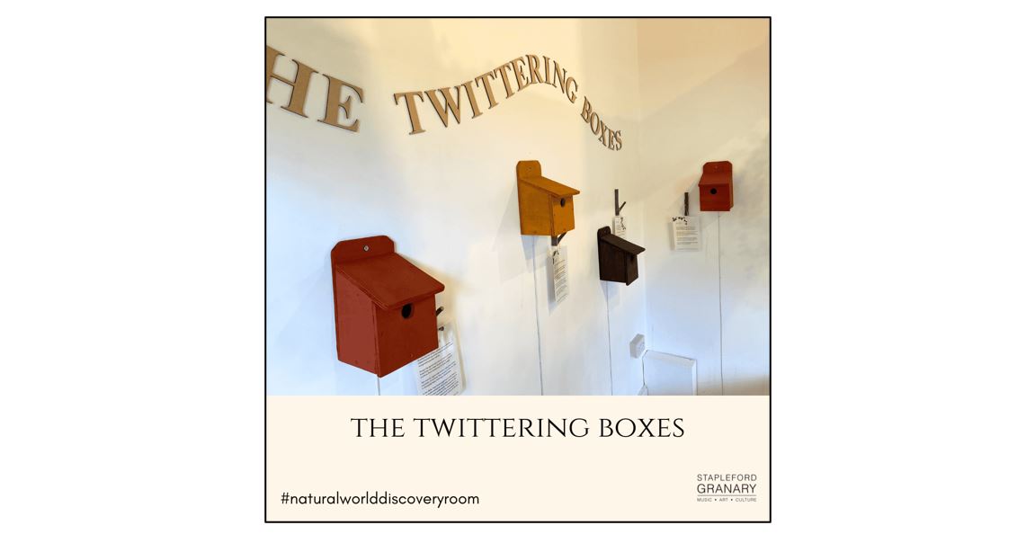 Natural World Discovery Room - Twittering Boxes