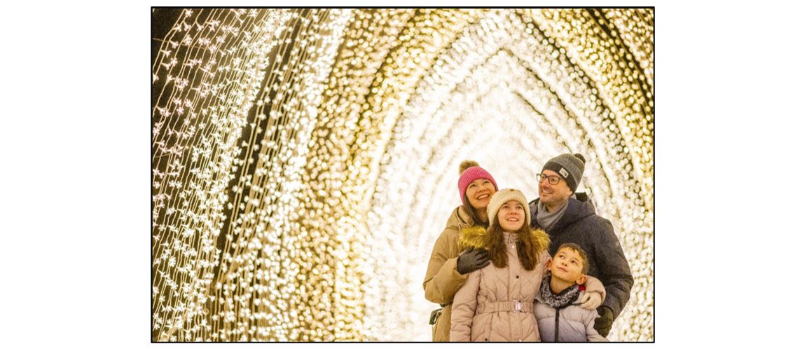 Christmas Illuminations Trail at Wimpole - Cathedral Family