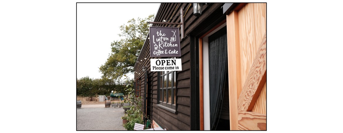 Foraging Workshops