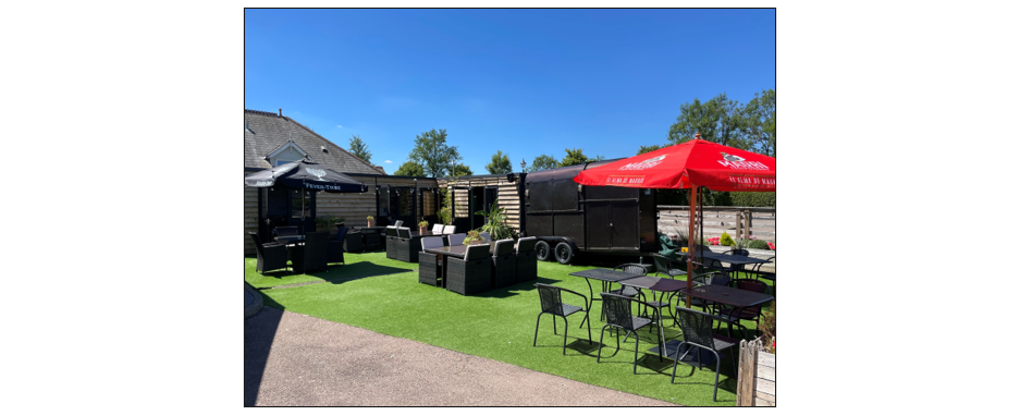 The Old Red Lion - garden