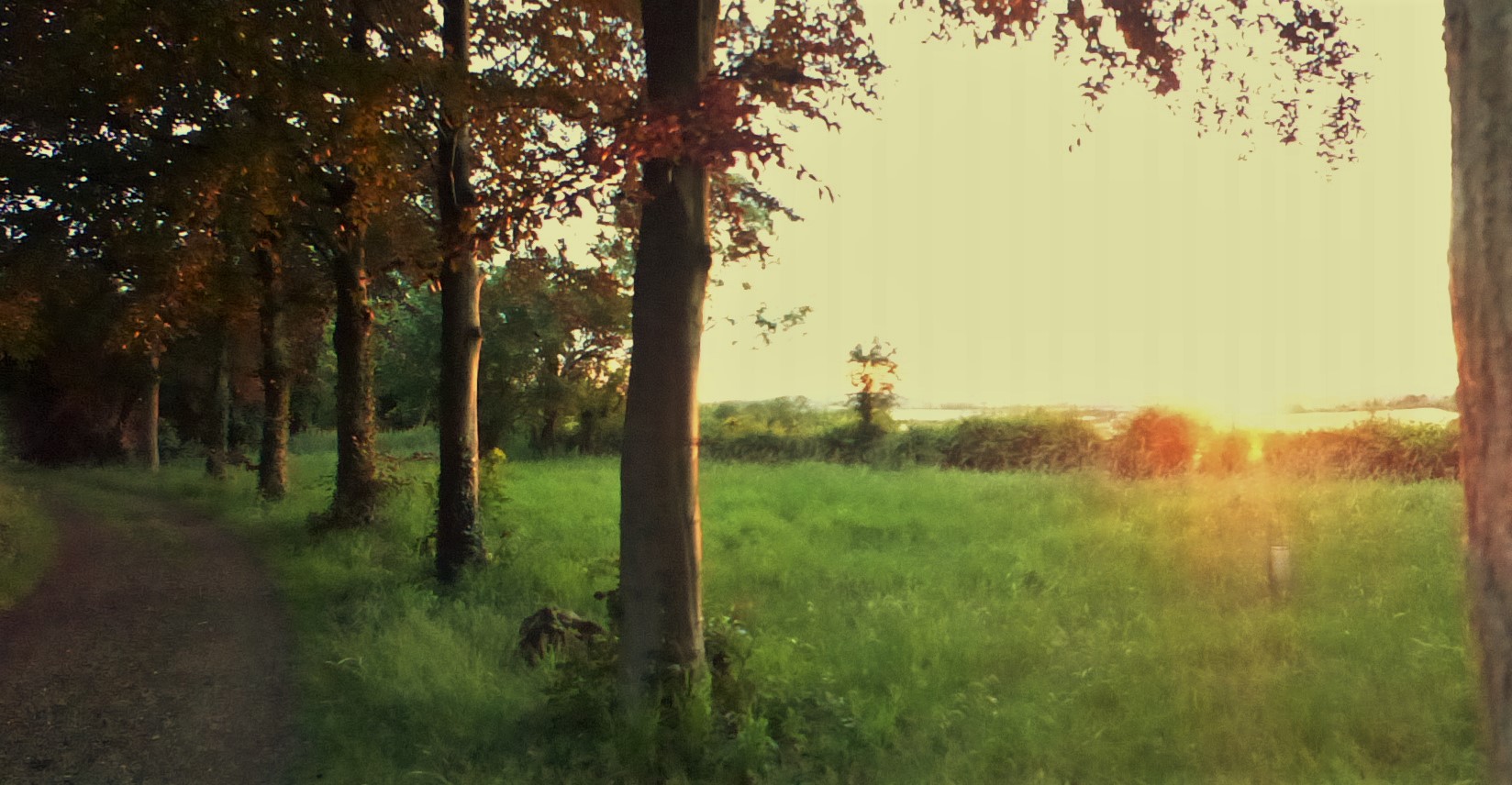 Evening Walk with a Warden