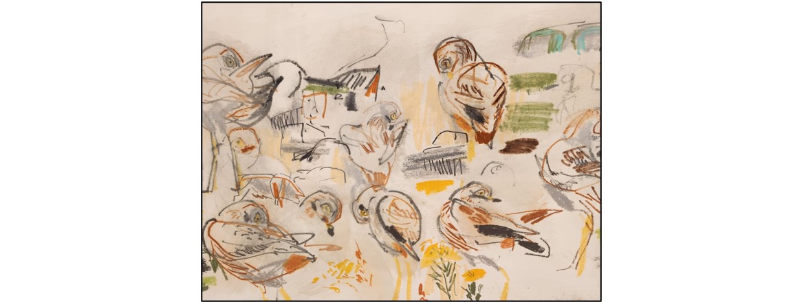 Exhibition - Artists in the Natural World  - birds