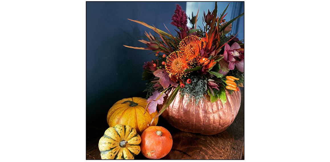 Pumpkin Party! 