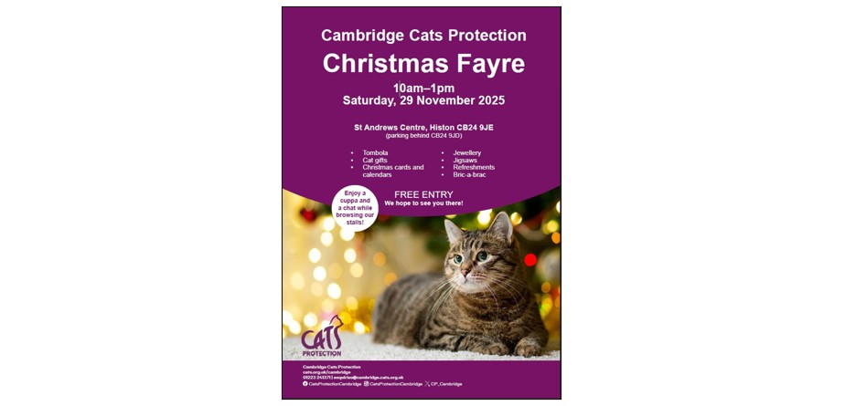 Cambridge Cats Protection Christmas Fayre