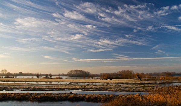 RSPB Fen Drayton Lakes