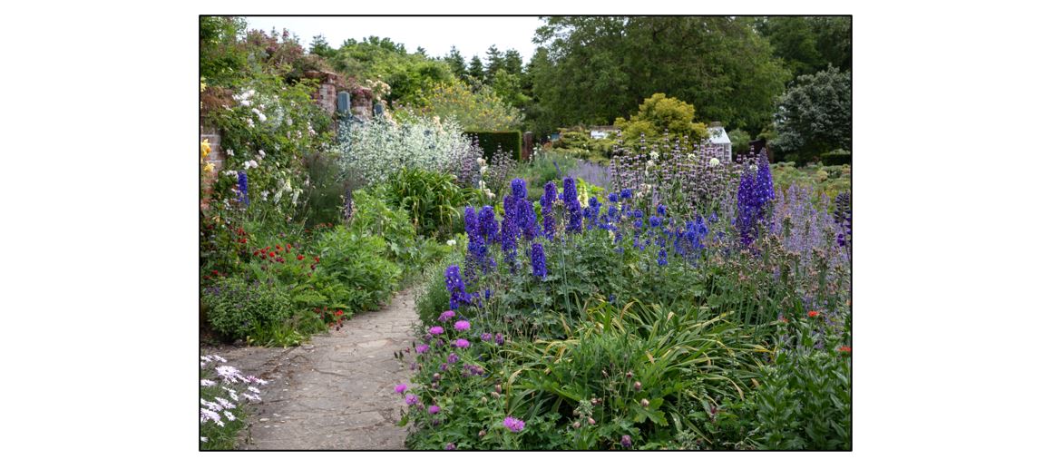 Childerley Hall Open Gardens
